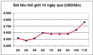 Giá hạt tiêu thế giới tăng mạnh