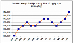 Trung Quốc gom hàng, giá hạt tiêu lên kỷ lục mới