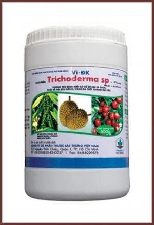 Vai trò nấm đối kháng Trichoderma trong kiểm soát các sinh vật