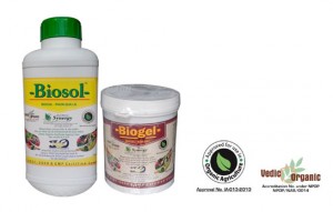 biosol-biogel-phan-bon-huu-co-sinh-hoc