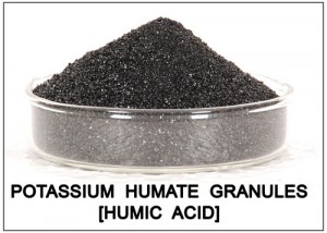 Sử dụng axit humic cho cây trồng