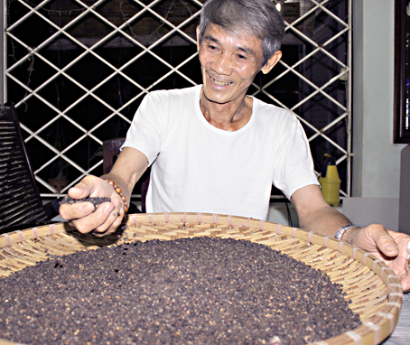Ông Hoàng Văn Lập giới thiệu hạt tiêu sạch trồng theo phương pháp an toàn.
