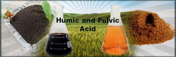 acid fulvic