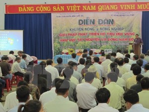 Phát triển bền vững hồ tiêu ở khu vực Đông Nam bộ và Tây Nguyên