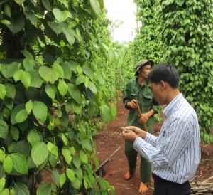 Đăk Lăk: Chỉ đạo phòng chống bệnh chết nhanh chết chậm