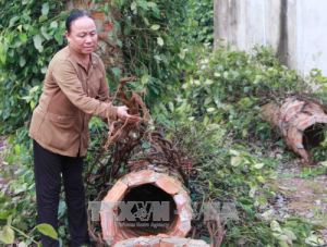 Đăk Lăk: Huyện M’Đrăk khôi phục diện tích hồ tiêu bị ảnh hưởng do mưa bão