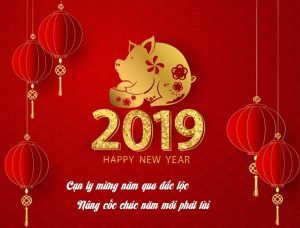 CHÚC MỪNG NĂM MỚI – 2019 !