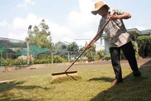 Đăk Lăk : Phấp phỏng vụ tiêu mới