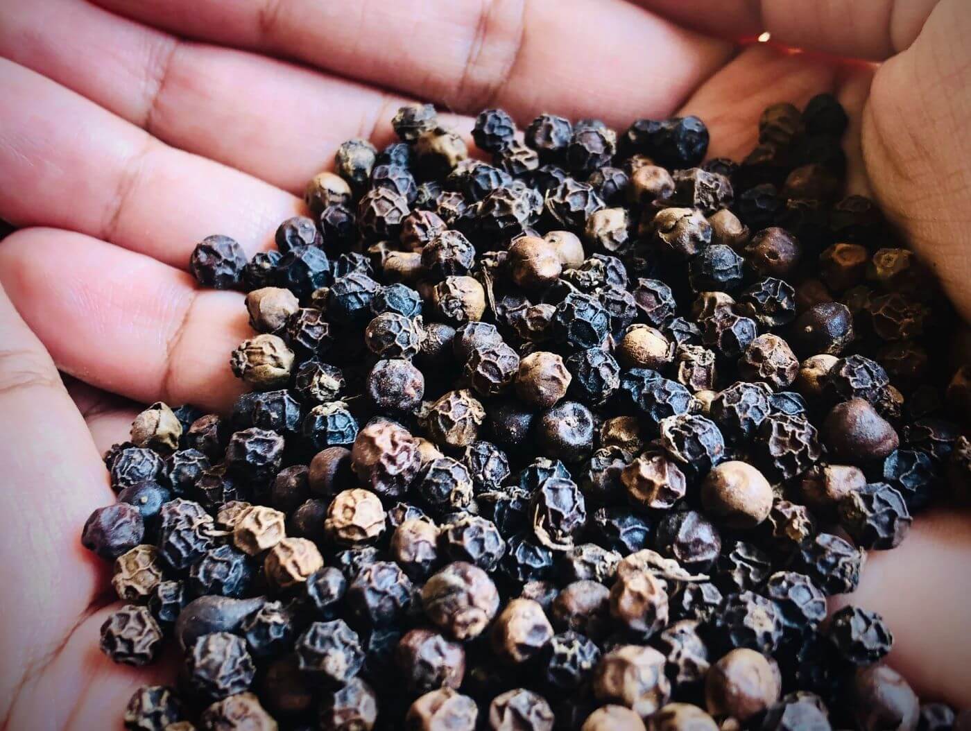 Pepper prices increase sharply, coal exporting enterprises suffer losses