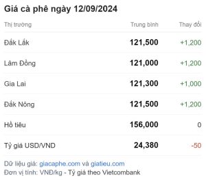 Giá cà phê hôm nay 12/09/2024: Tăng thêm 1,200đ/kg