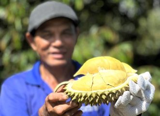 Xuất khẩu sầu riêng tăng vọt ở nhiều thị trường quan trọng