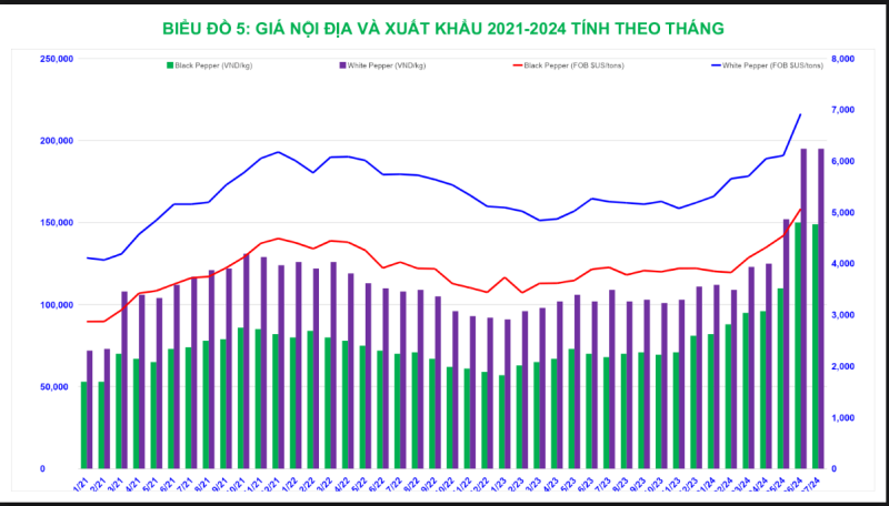 gia ho tieu nam 2024