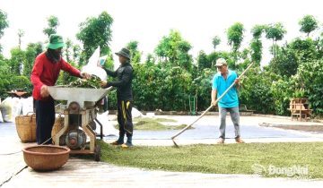 hồ tiêu đồng nai