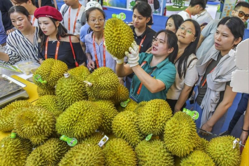 Theo các quy định nghiêm ngặt hơn, sầu riêng Việt Nam phải chịu sự kiểm tra "theo từng lô"